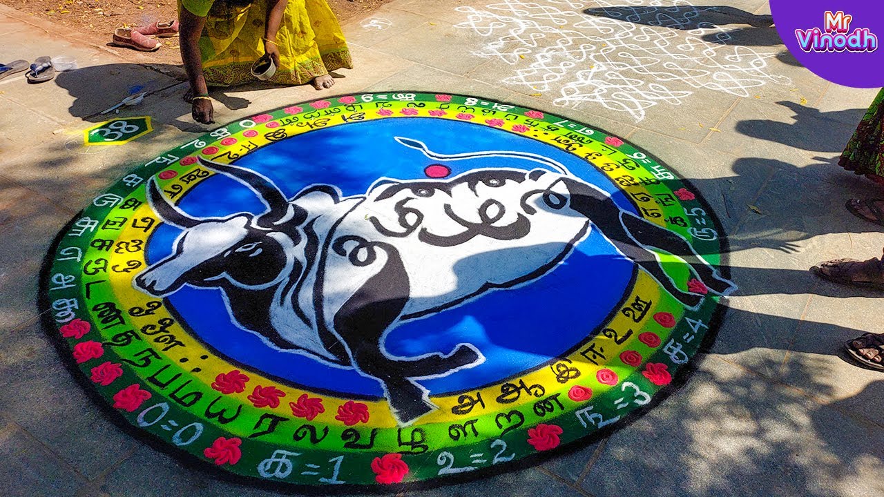 Namma Cuddalore Pongal Vizha| கோலப்போட்டி | KOLAM  | பாரம்பரிய விளையாட்டுத் திருவிழா | Part 2