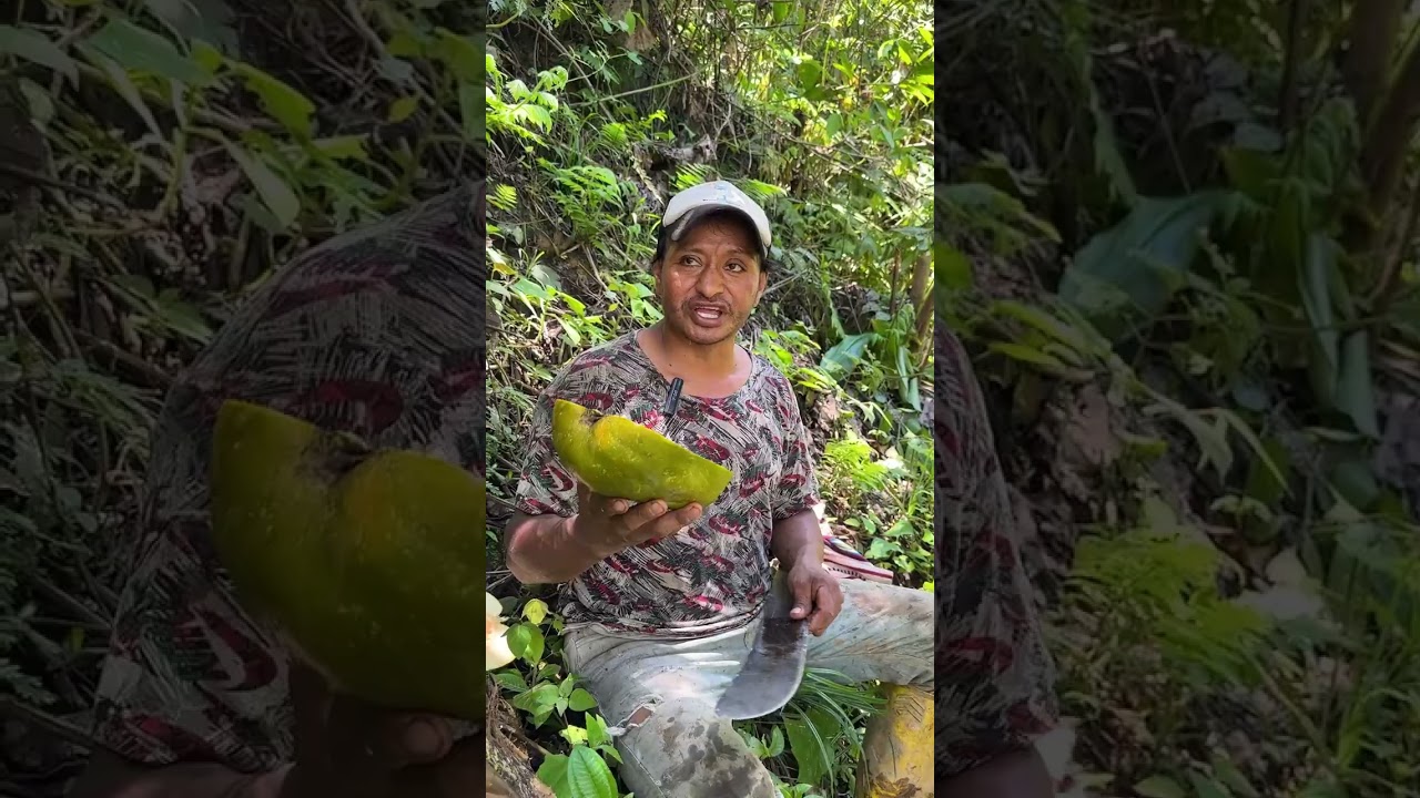 Refrescando con una deliciosa fruta silvestre / Don Luchito