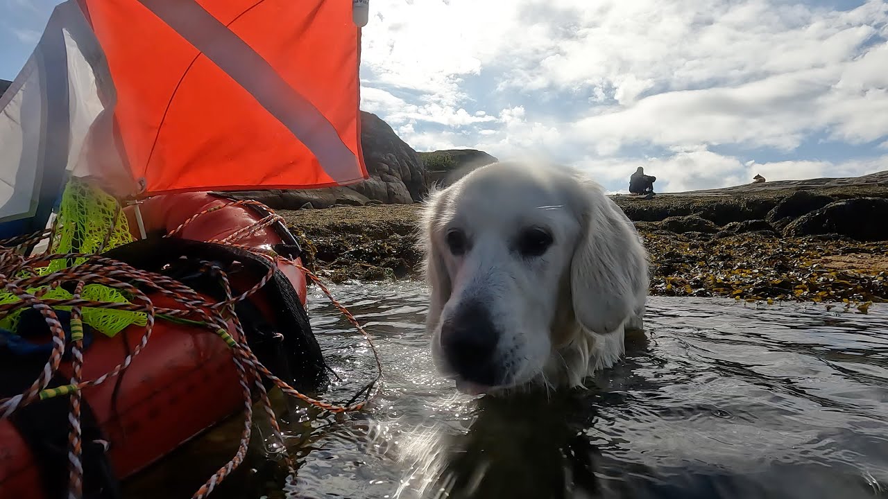 2022-06-12 по Заполярью с псом / wandering in the Arctic with a retriever