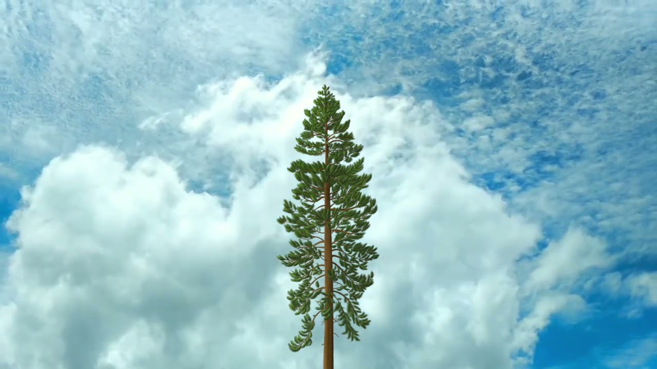 Jake Soffer - From Sea To Sky