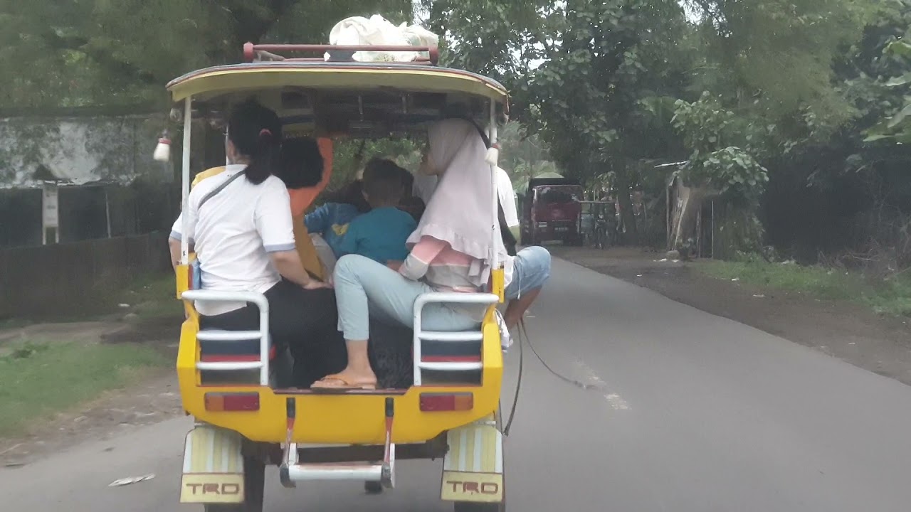 Asiknya Naik Cidomo Transportasi Tradisional Lombok