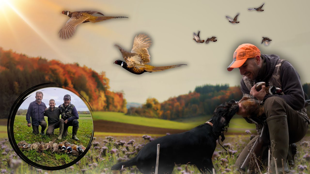 Chasse aux faisans et perdreaux - Une journ&eacute;e entre p&egrave;re et fils