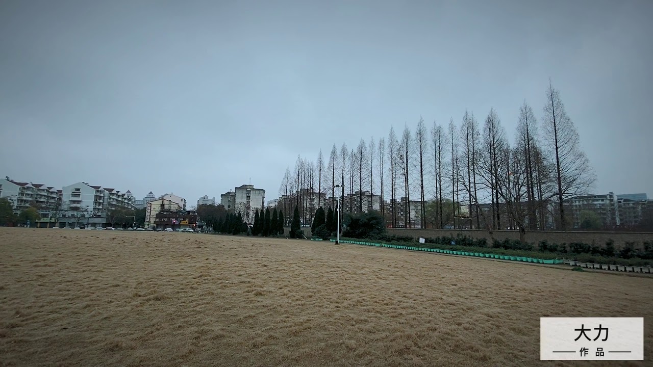 盘鹰风筝