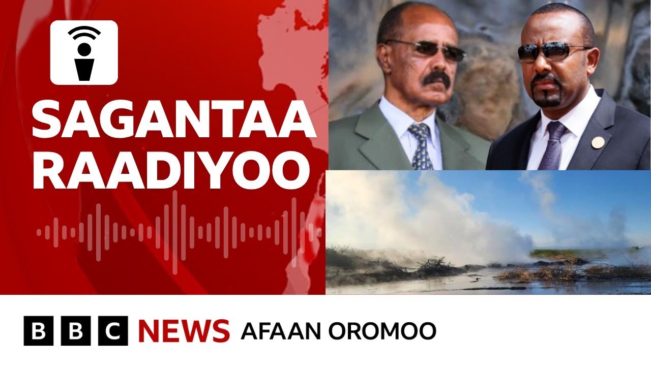 Itoophiyaafi Ertiraan waraanatti yoo seenan balaan qaqqabu maali? |BBC News Afaan Oromoo