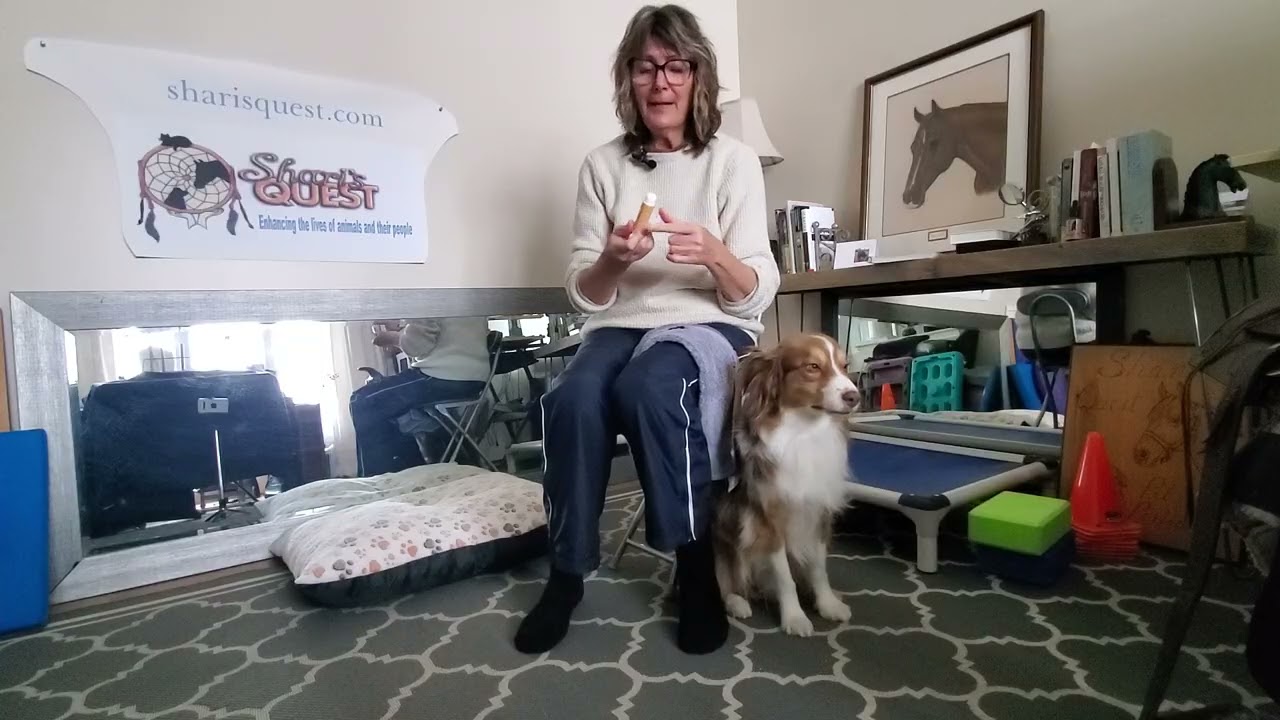 Protect dogs feet from salt while outside during the winter.