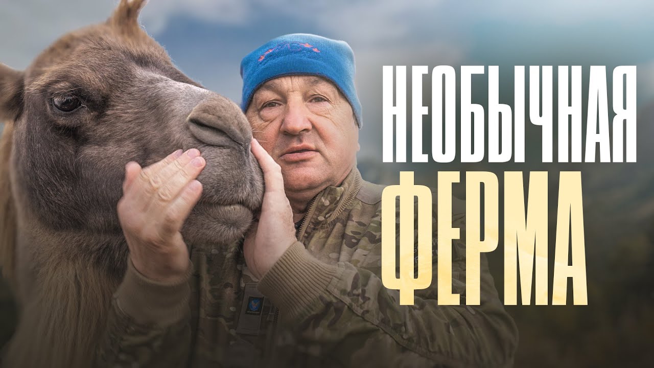 Удивительная ферма в России.