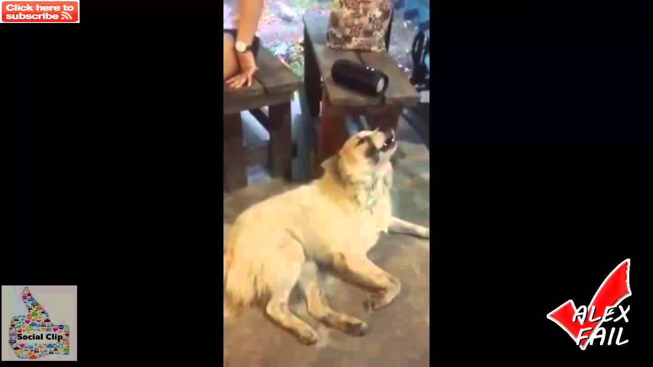 #10 BEST EPIC FAILS   WIN Compilation   BEST FUNNY VIDEOS   FUNNY FAIL June 2015