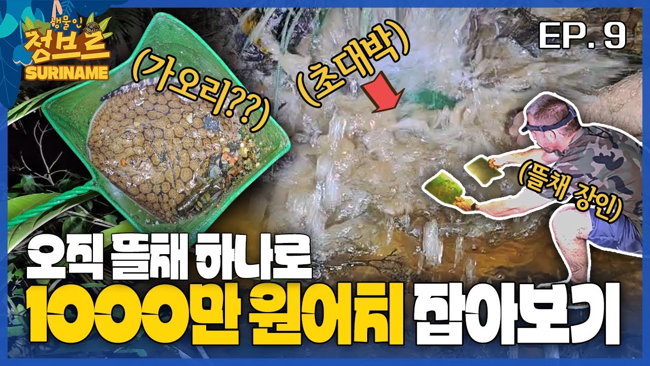 [수리남 시즌2.ep 9] 오직 뜰채 하나로 1000만원 잡는 아마존 달인..! 하마터먼 사고날뻔 했네요..