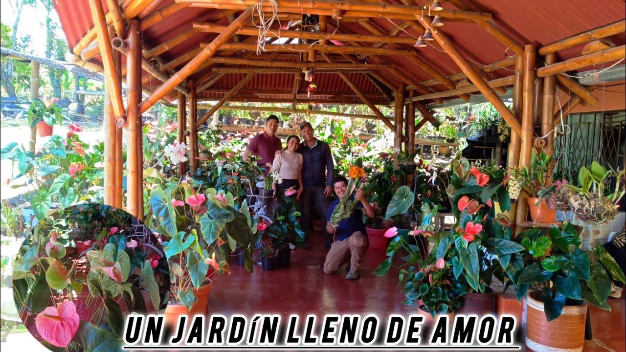 Omaira y su esposo nos cuentan el cuidado de sus anturios