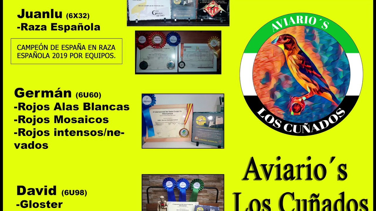 Como lograr que tus pájaras pongan más huevos!!