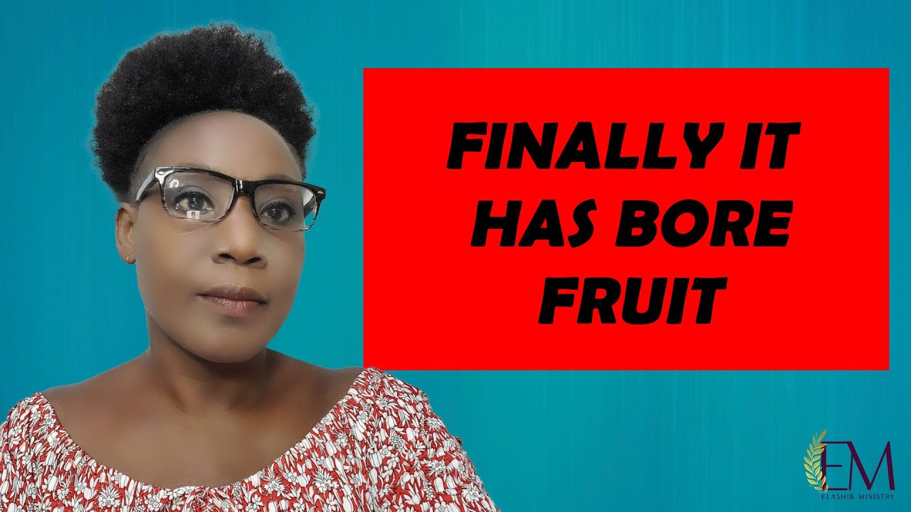 FINALLY IT HAS BORE FRUIT