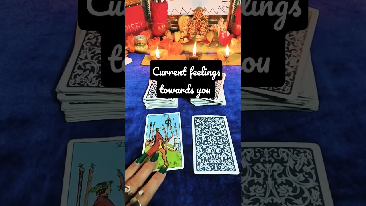 # current feelings towards you # pick a card reading #hindicardreading #timelesstarotreading