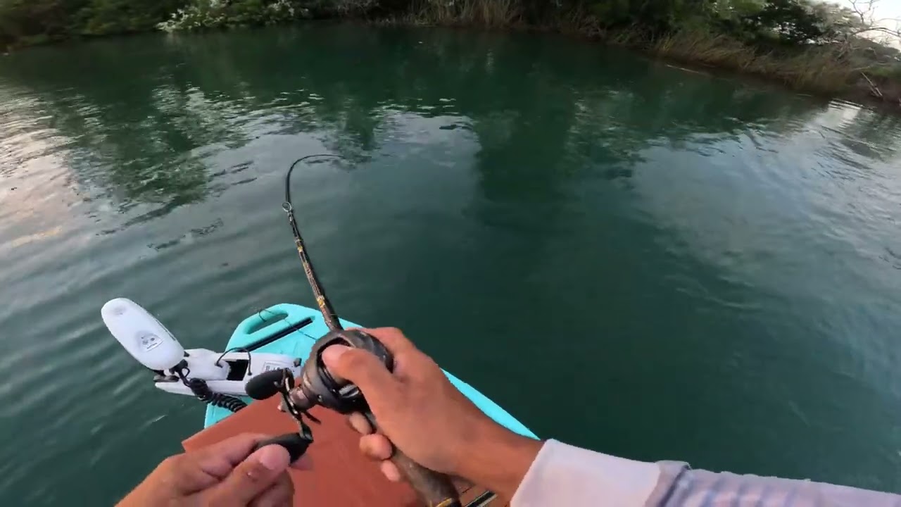 Mais uma do jeito que nois gosta, pescaria de robalos no rio Araranguá.