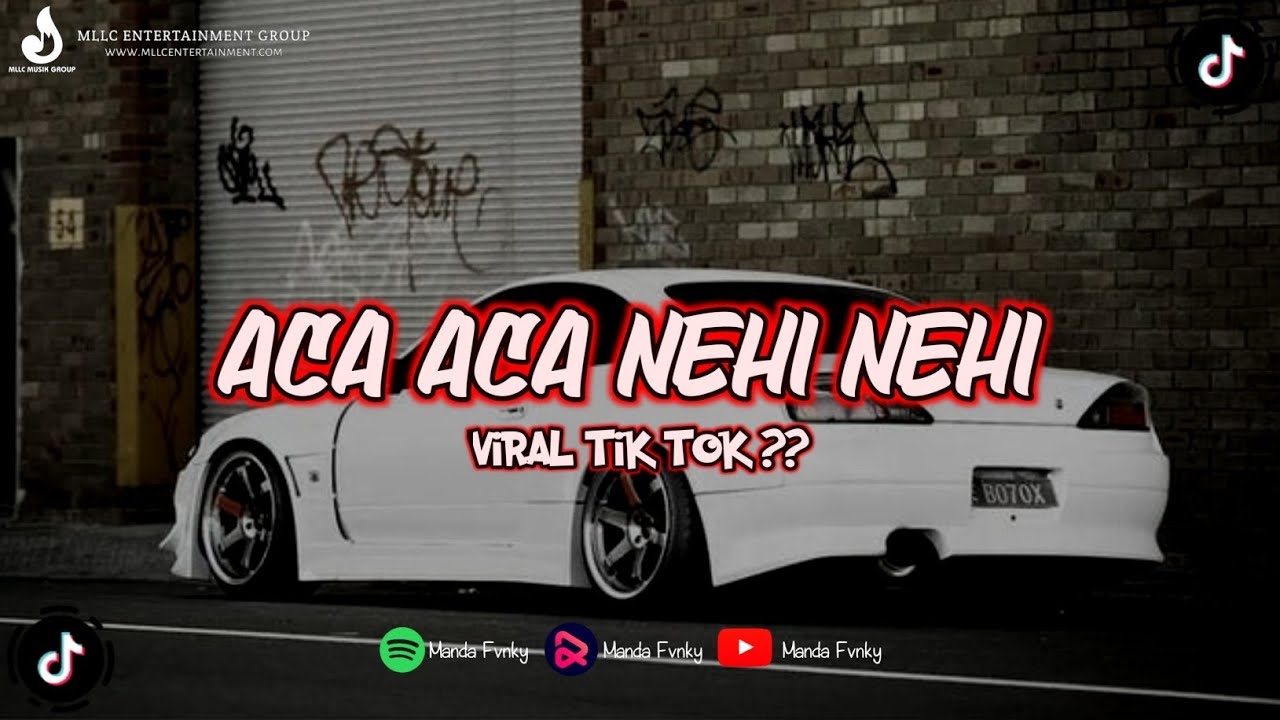 DJ ACA ACA NEHI NEHI JDM MENGSANTUY TERBARU VIRAL TIK TOK ??