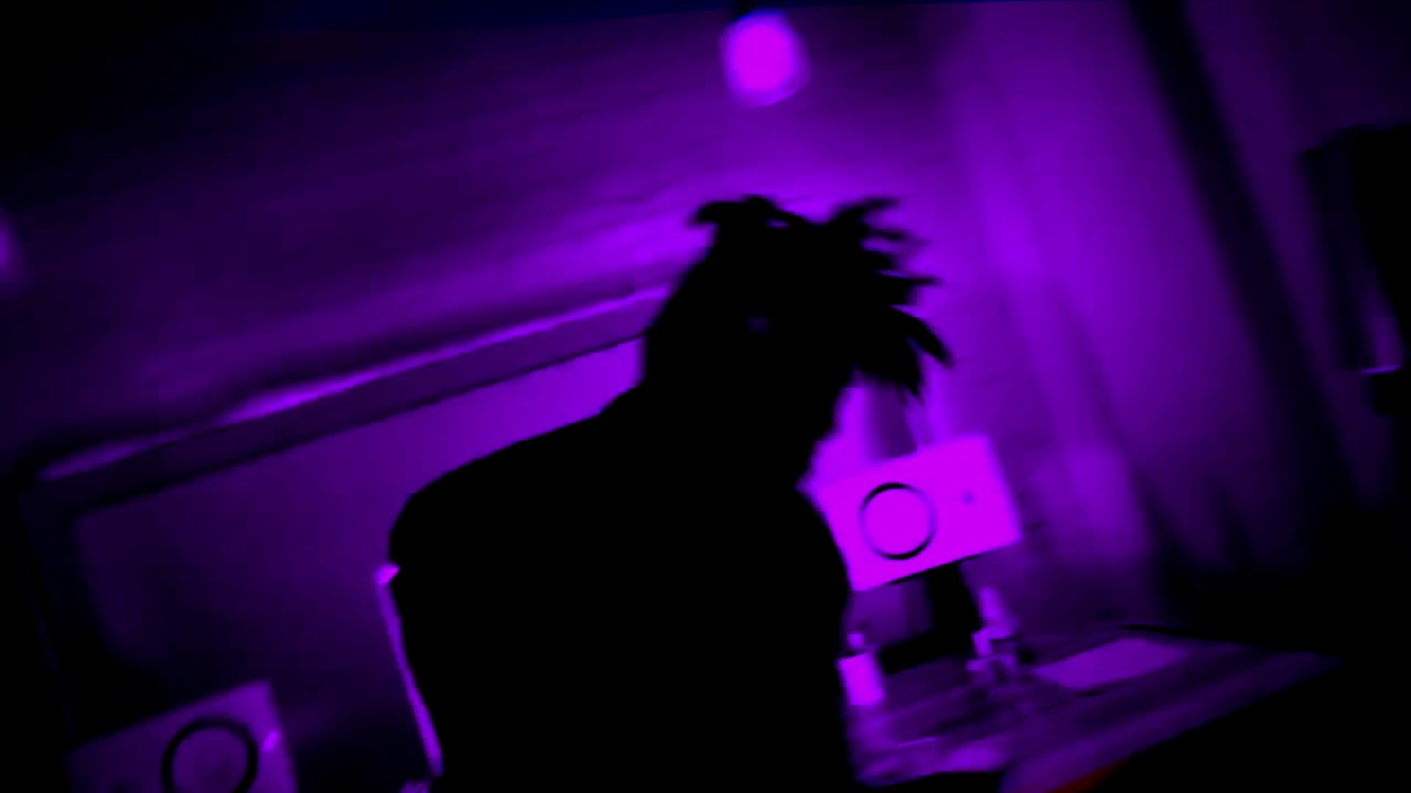 Palm Paradise - Fix Your Mental (Visualizer)