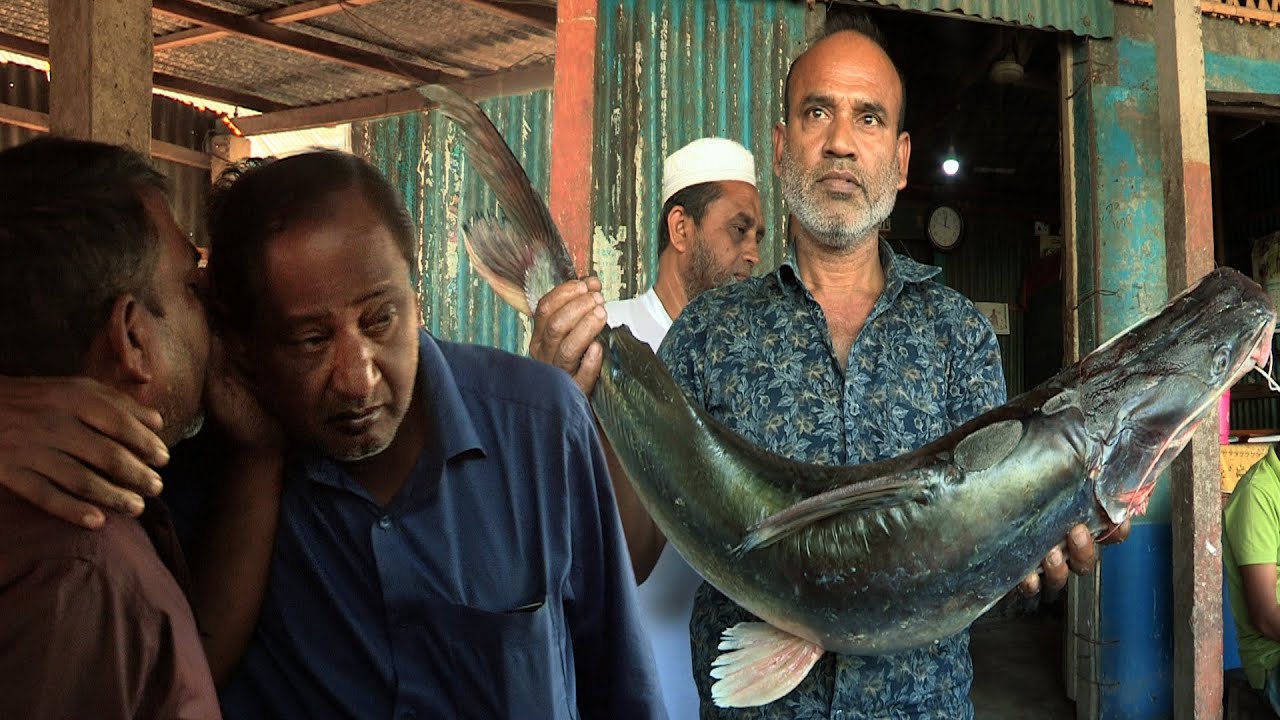 কানাকানি মাছের আড়ৎ কিশোরগঞ্জের কুলিয়ারচরে || @PanoramaDocumentary