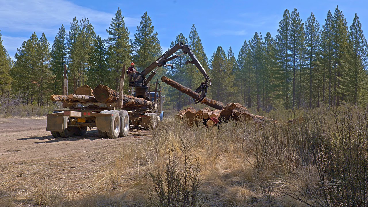 Dan Wehde Logging Self Loader Truck Delivering Cedar Logs to Train Mountain