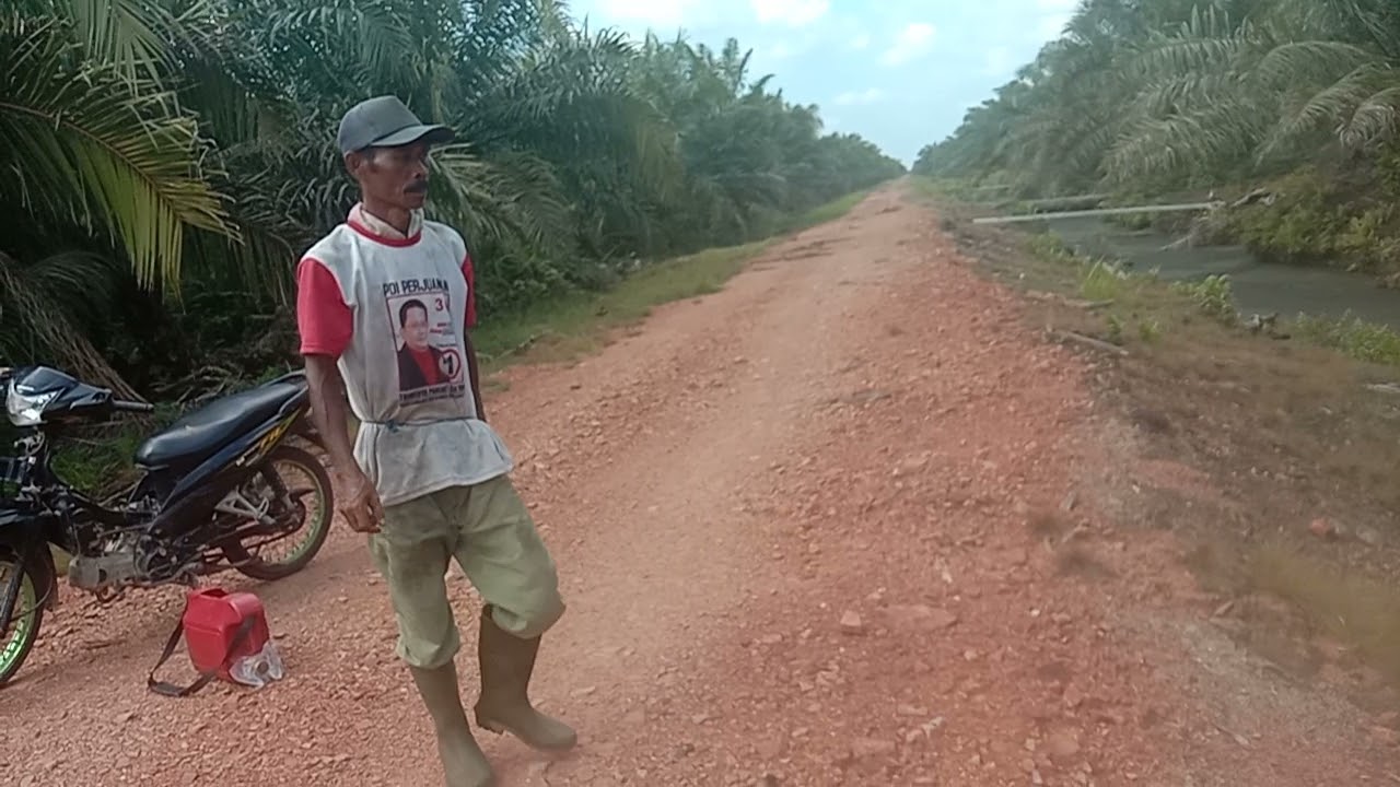 Hari pertama melihat bubu(penilar) jgn lupa subscribe 🙏👍