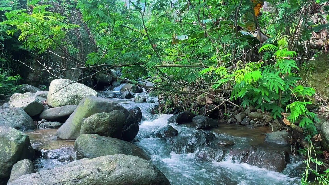Moonlit Water Flow – Calming River Ambience to Help You Drift Into Deep Sleep