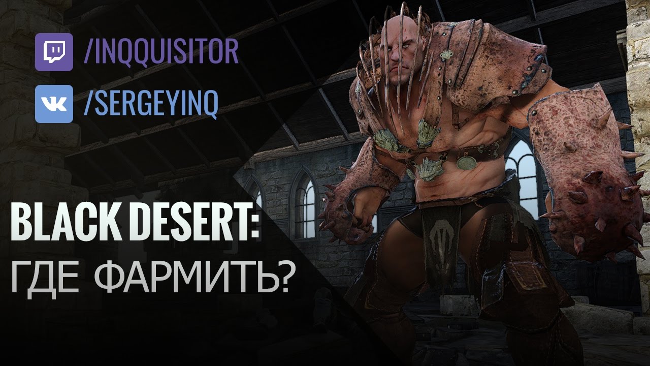 Вопросы со стримов: Где фармить в Black Desert?