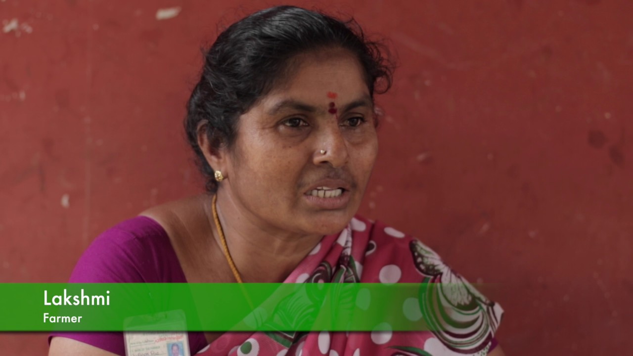 Documentary on Champaran Satyagraha
