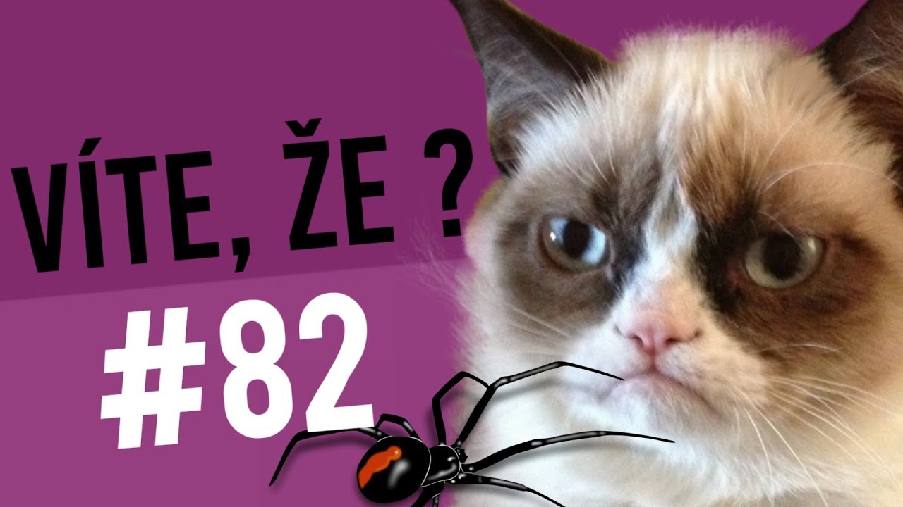 #82 ● V&Iacute;TE, ŽE...?