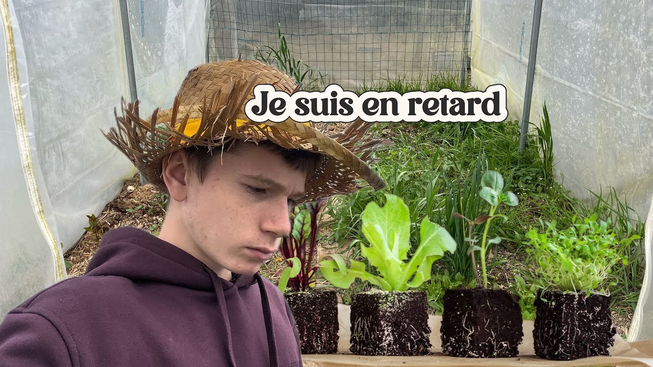 Les semis du mois d’avril et de mars (je suis en retard)￼￼