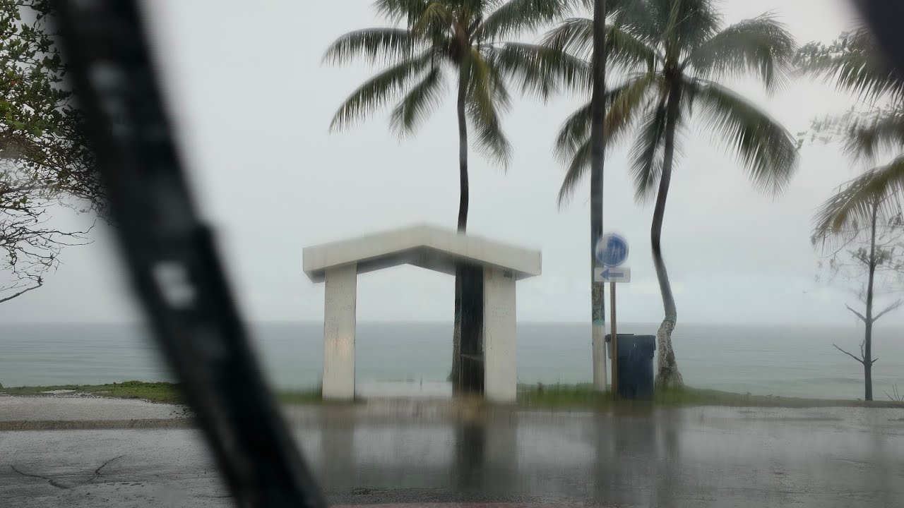 Toda la tarde bajo la lluvia. 