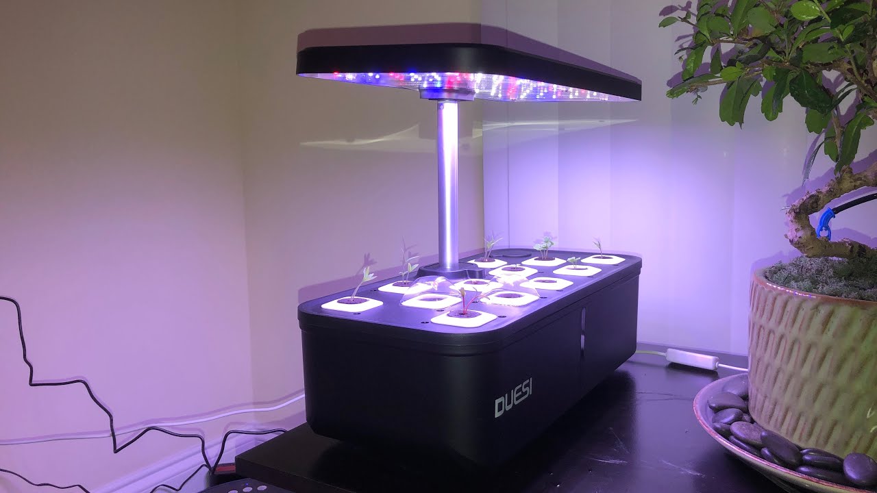 Hydroponic Farming at Home - Duesi Hydroponic Growing Kit - Unboxing And Set up