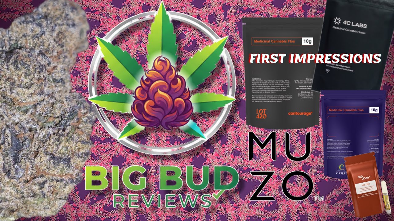 First Impressions - Opening Mango Rosin Vape,  D.Bubba, Sudz, Cap Junky, Rainbow Pave & Gelato 33 🔥
