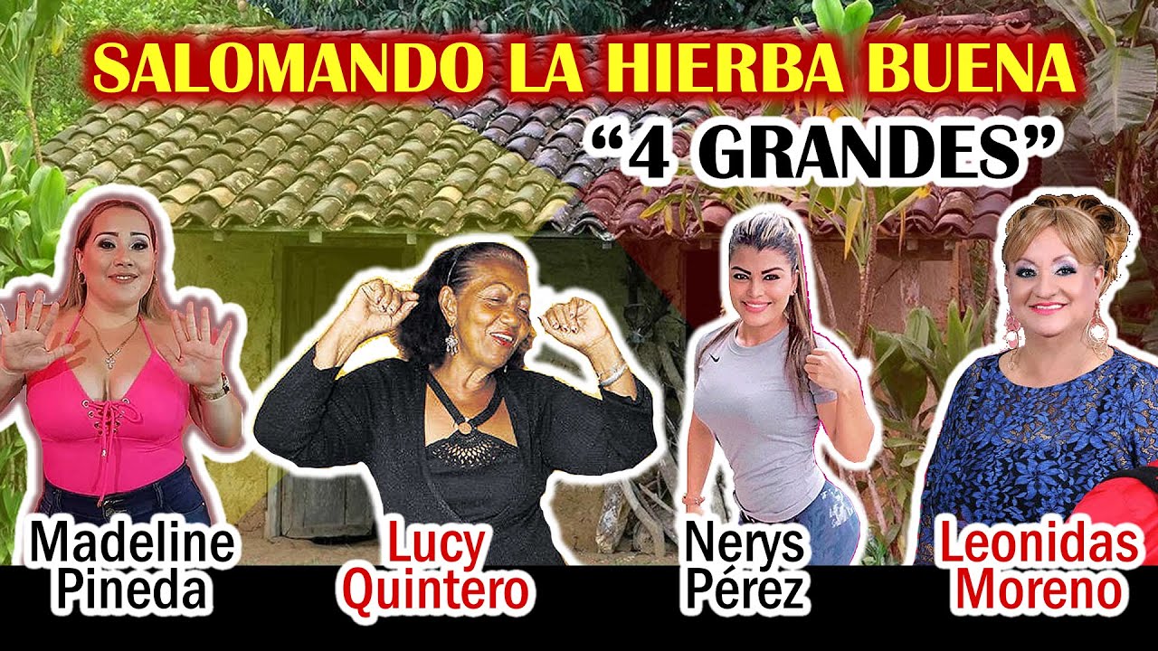 Ellas son las 4  grandes de la Saloma que han interpretado la Hierba Buena ¿ Que Opinas ? #MixTipico