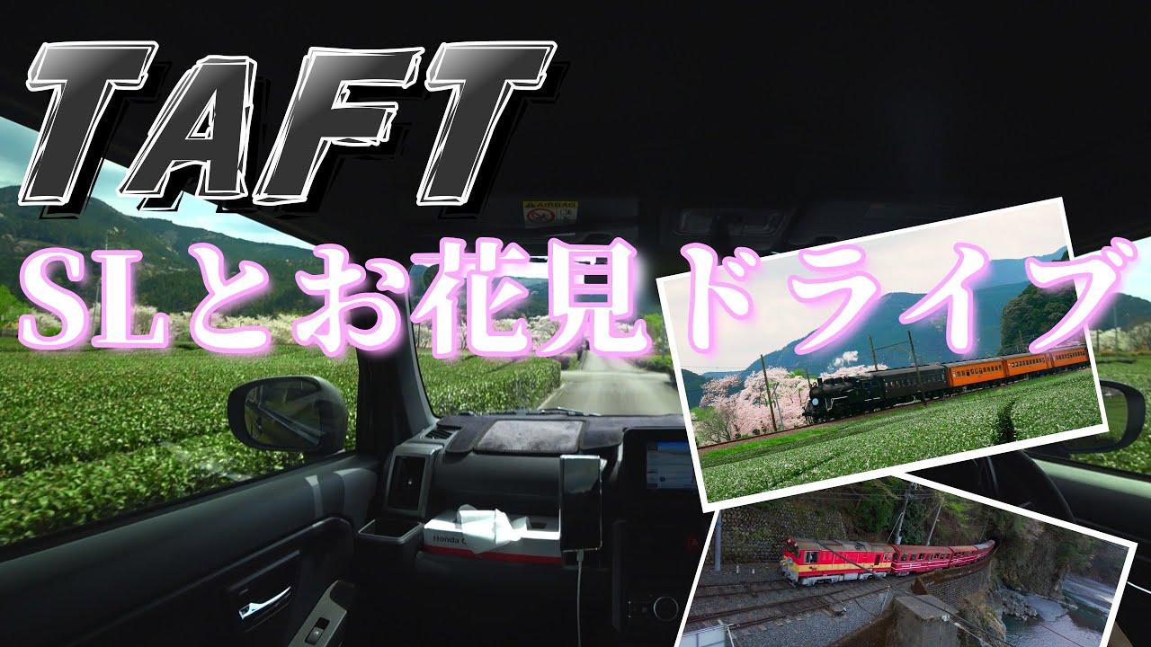 【TAFT】大井川鐵道のSLとお花見【ドライブ】