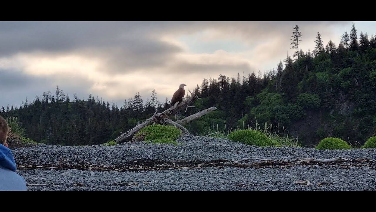 Alaska - półwysep Kenai