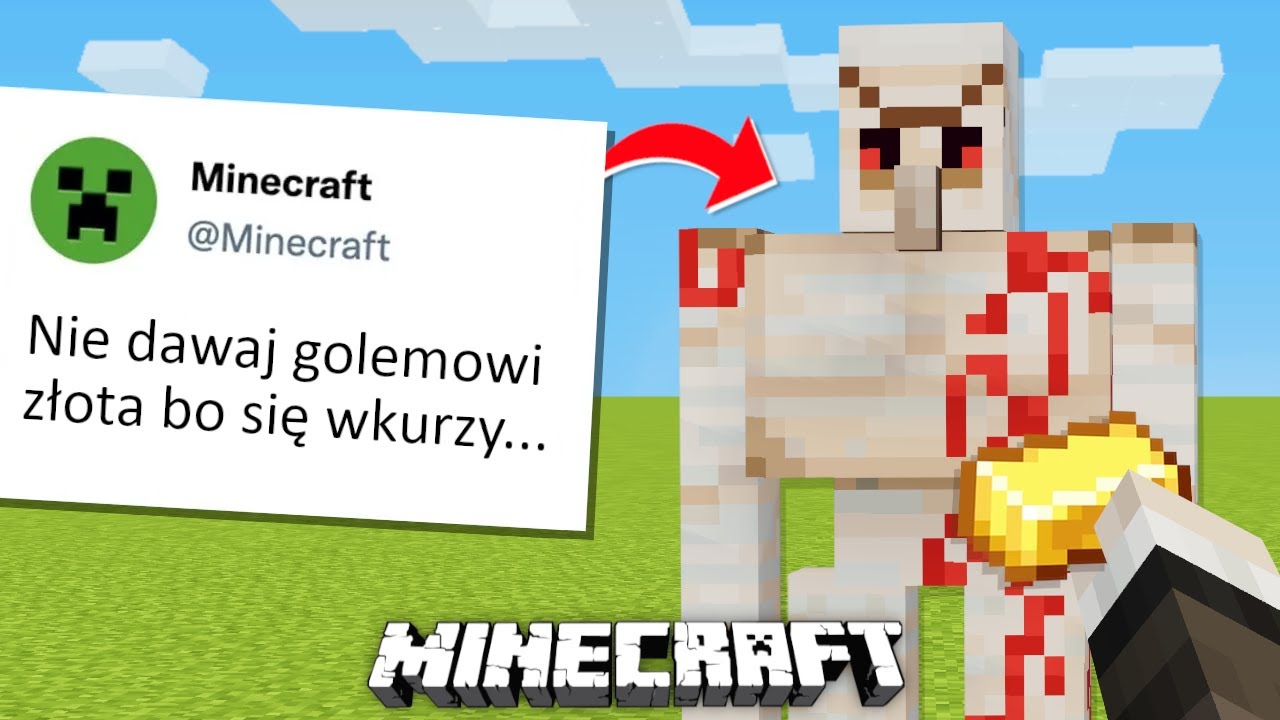 ❓ TOP 10 MITÓW od WIDZÓW ❓ w MINECRAFT... *sprawdziłem je*