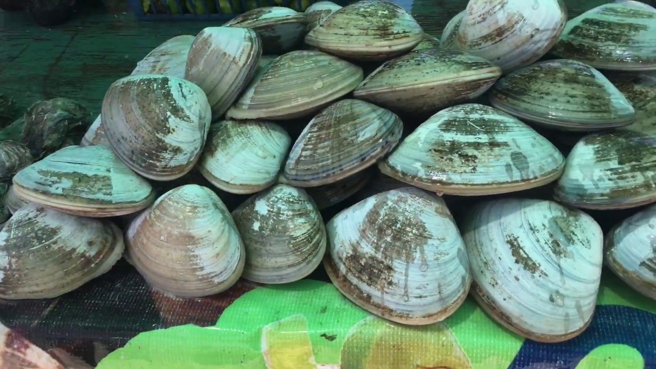 Fish Market at Rosarito Beach Mexico, Baja California #fishcutting #fishmarket #bajamexico