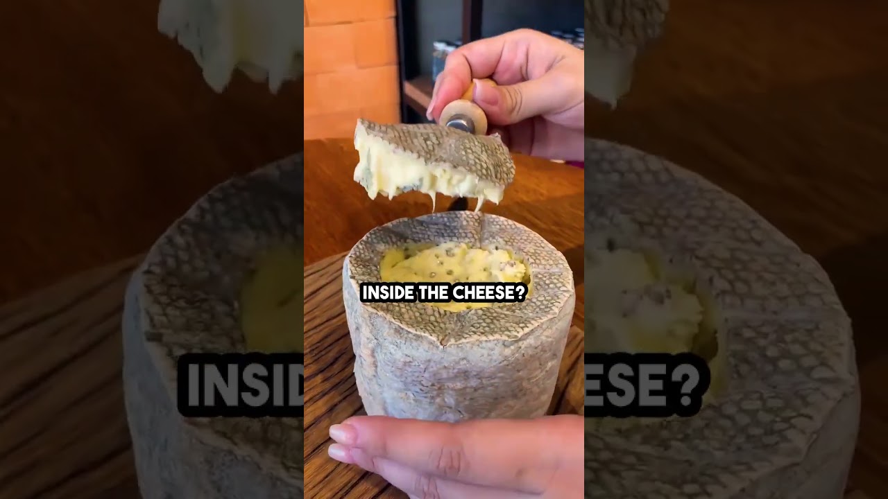 The stinkiest cheese in the world🧀Would you try it? #cheese #gorgonzola #foodporn