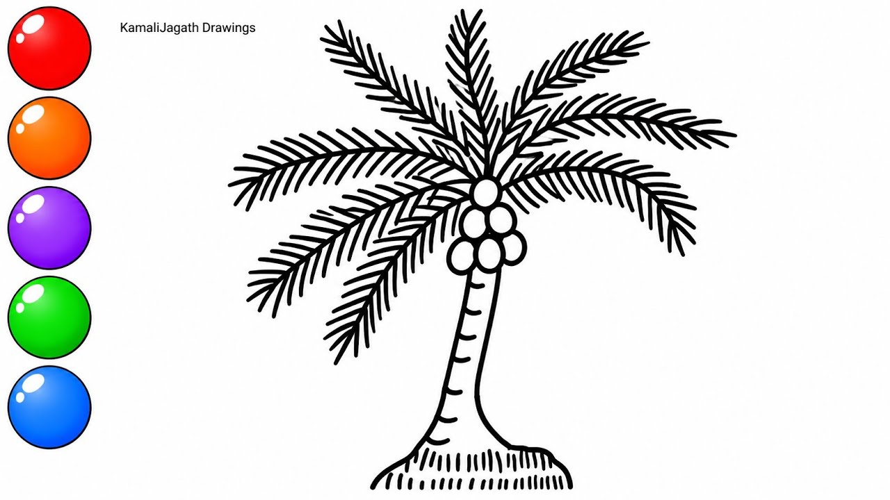Coconut tree Drawing Easy || How to Draw a Coconut tree step by step || Simple Coconut tree Drawing