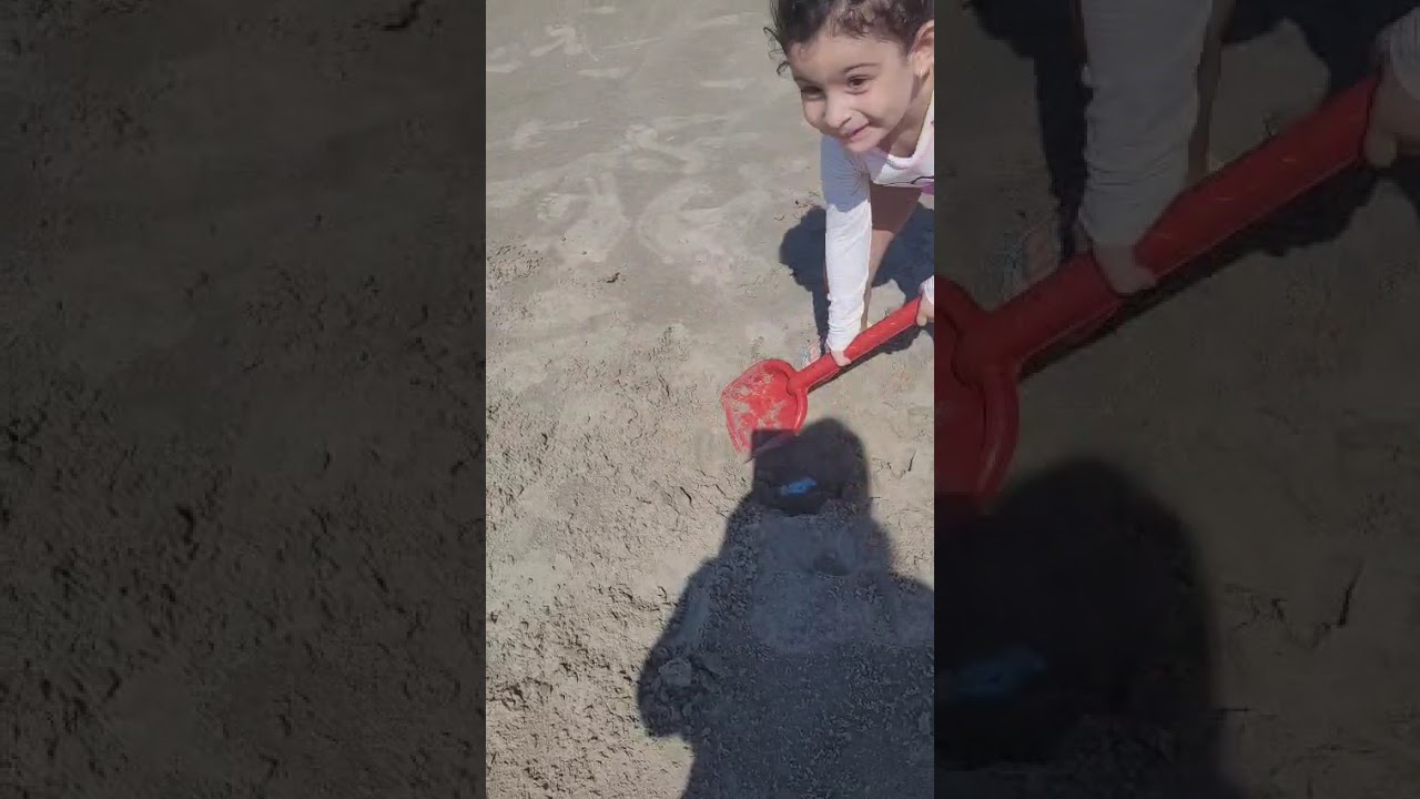 Papai pirata e Ísis 