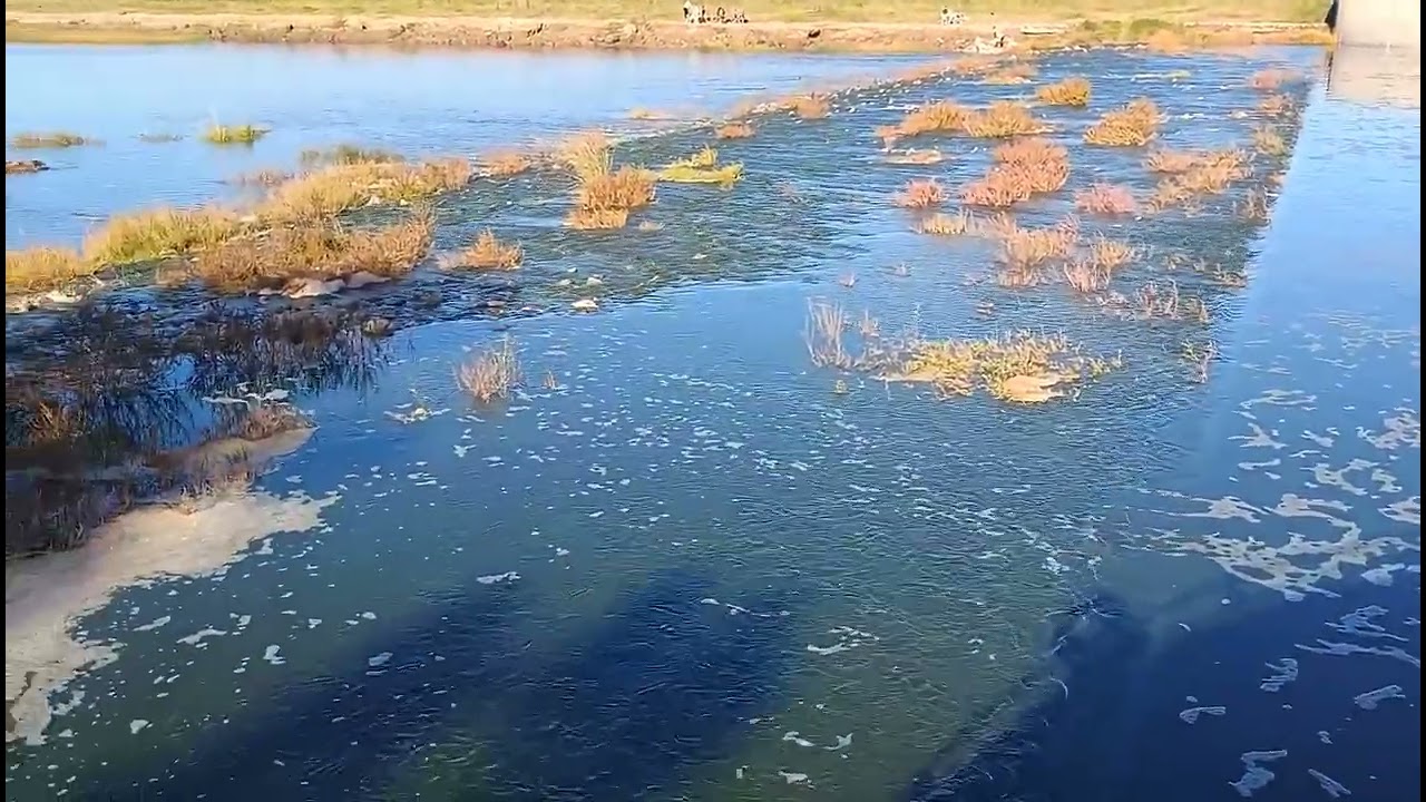 Junín recupera la Laguna de Gómez tras cuatro años de sequía