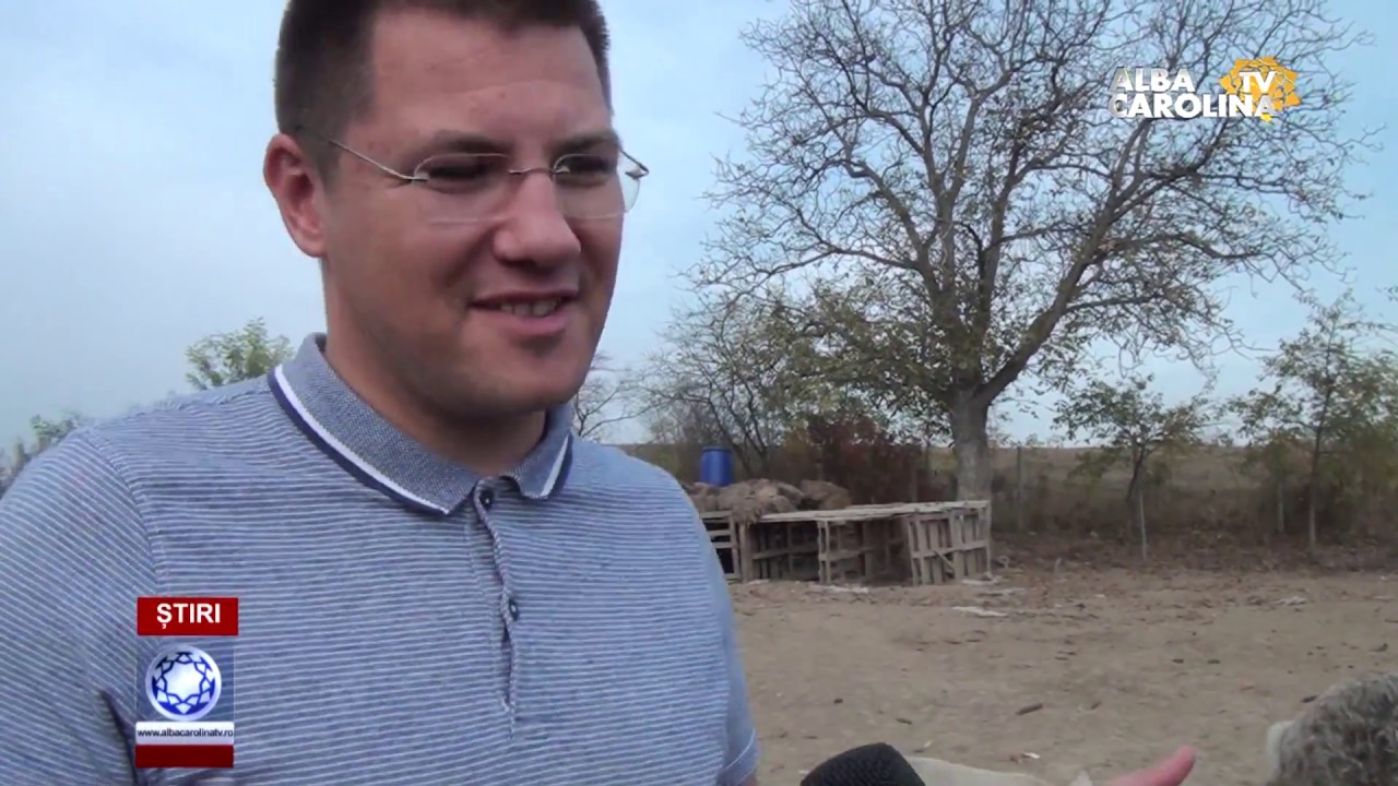 Un preot gospodar creste porci rasa mangalita!