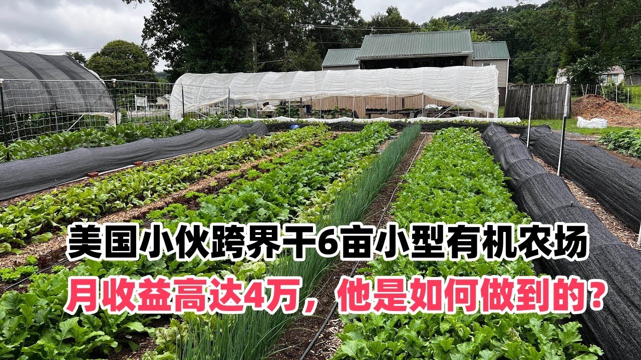 美国小伙跨界干6亩小型有机农场，月收益高达4万，他是如何做到的？