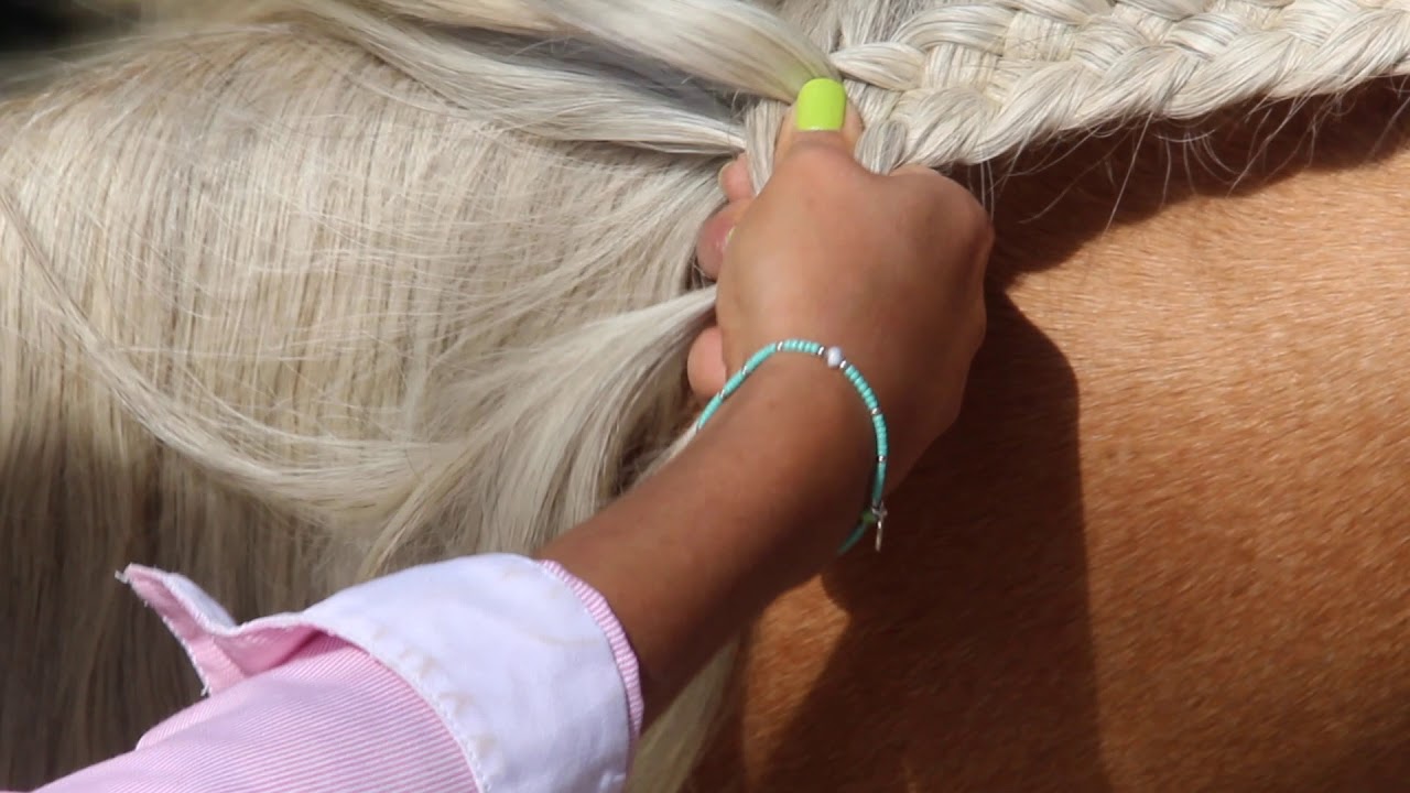 Five strand Braid-HORSE