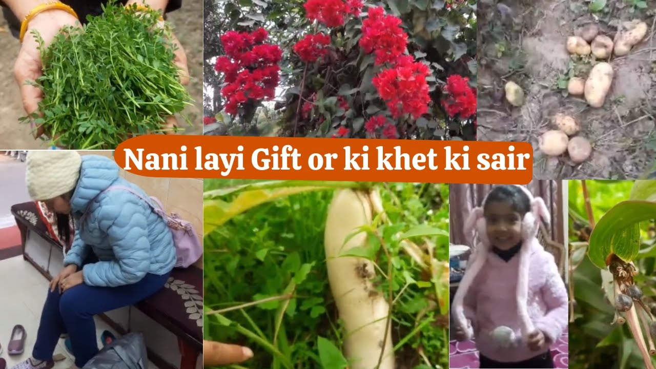 Itne din se chahiye tha aaj mila gift 😌| Khet ki sair ki or laye fresh sabjiya 💕