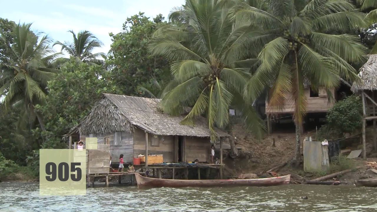 Culturas vivas del Caribe