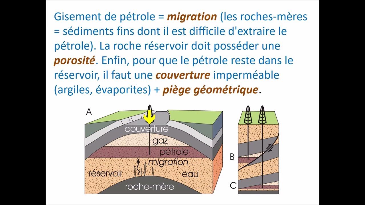Géologie générale 45: les roches sédimentaires partie 23 #science #roches #petrol #charbon
