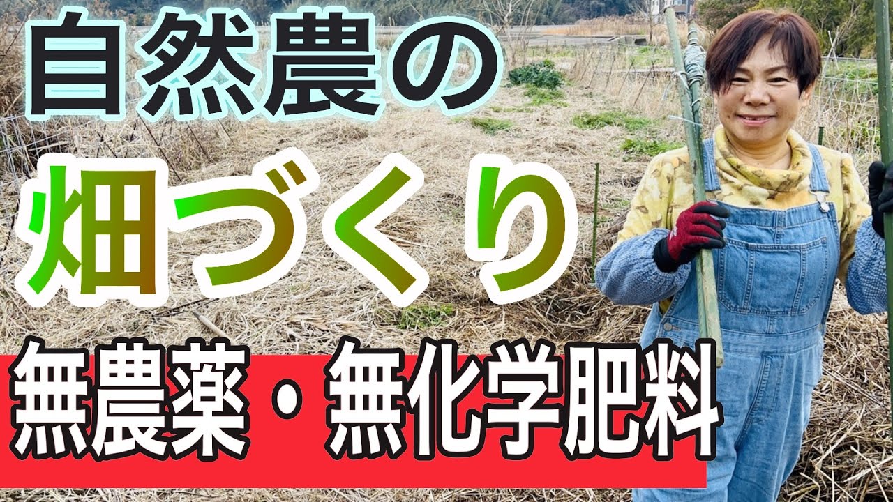 竹炭・もみ殻くん炭・EM菌を使って無農薬無化学肥料の畑を作ります
