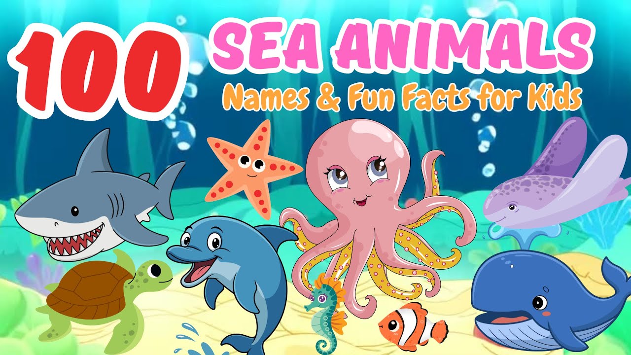 100 морских животных и самые интересные факты о них! 🐠 Дети учатся весело