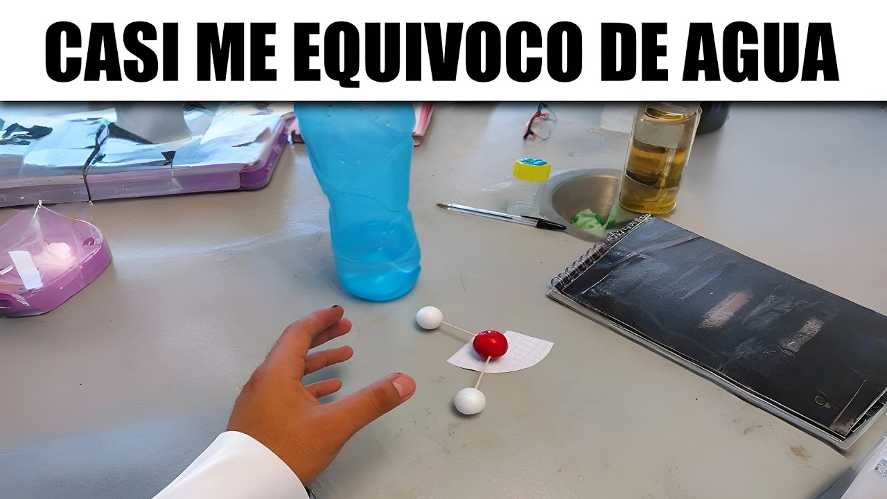 MEMES ALGO XD #116