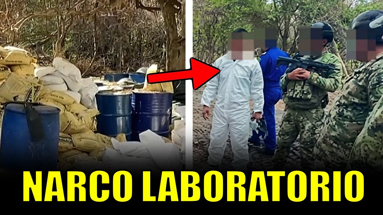 Hallan narco laboratorio con 15 reactores en Michoacán: así operaba la fábrica de droga