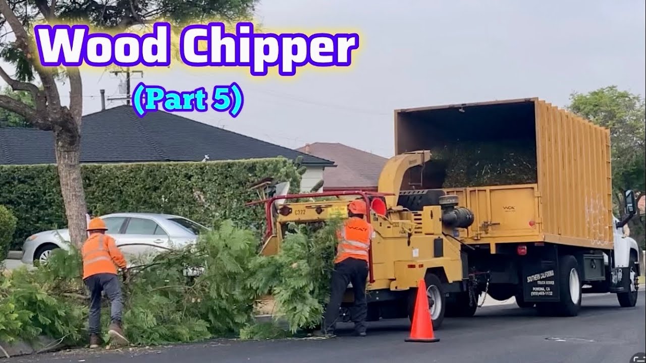 WOOD CHIPPER in Action (Part 5/13)｜Tree Trimming Crew (Tree Surgeon) At Work